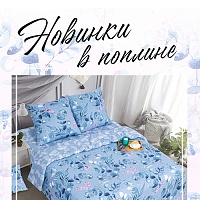 Изящные новинки в поплине